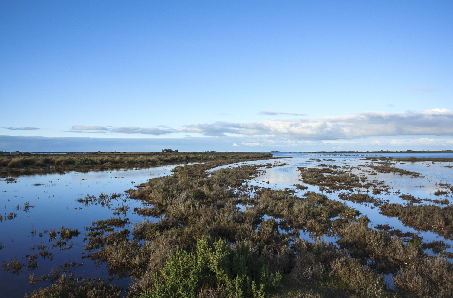 SAMurrayMouthwetlands