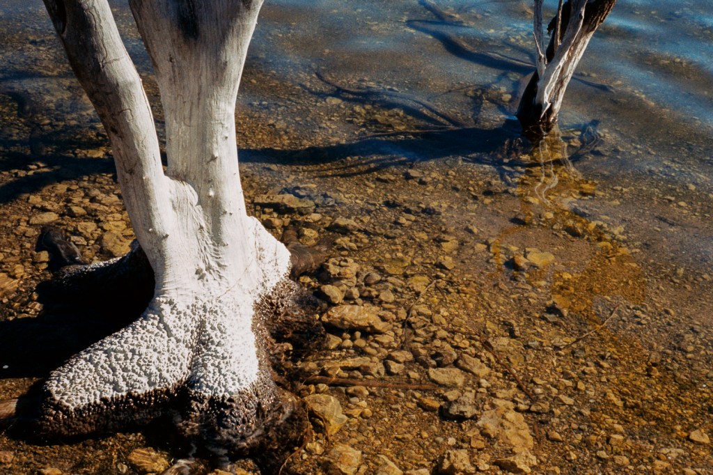 at the Stockyard Plain&nbsp;Basin