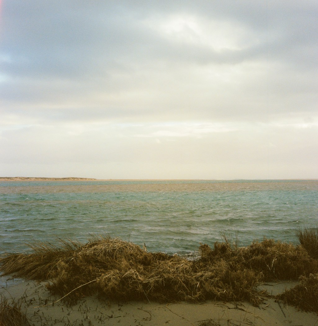 the photographic landscape&nbsp;tradition