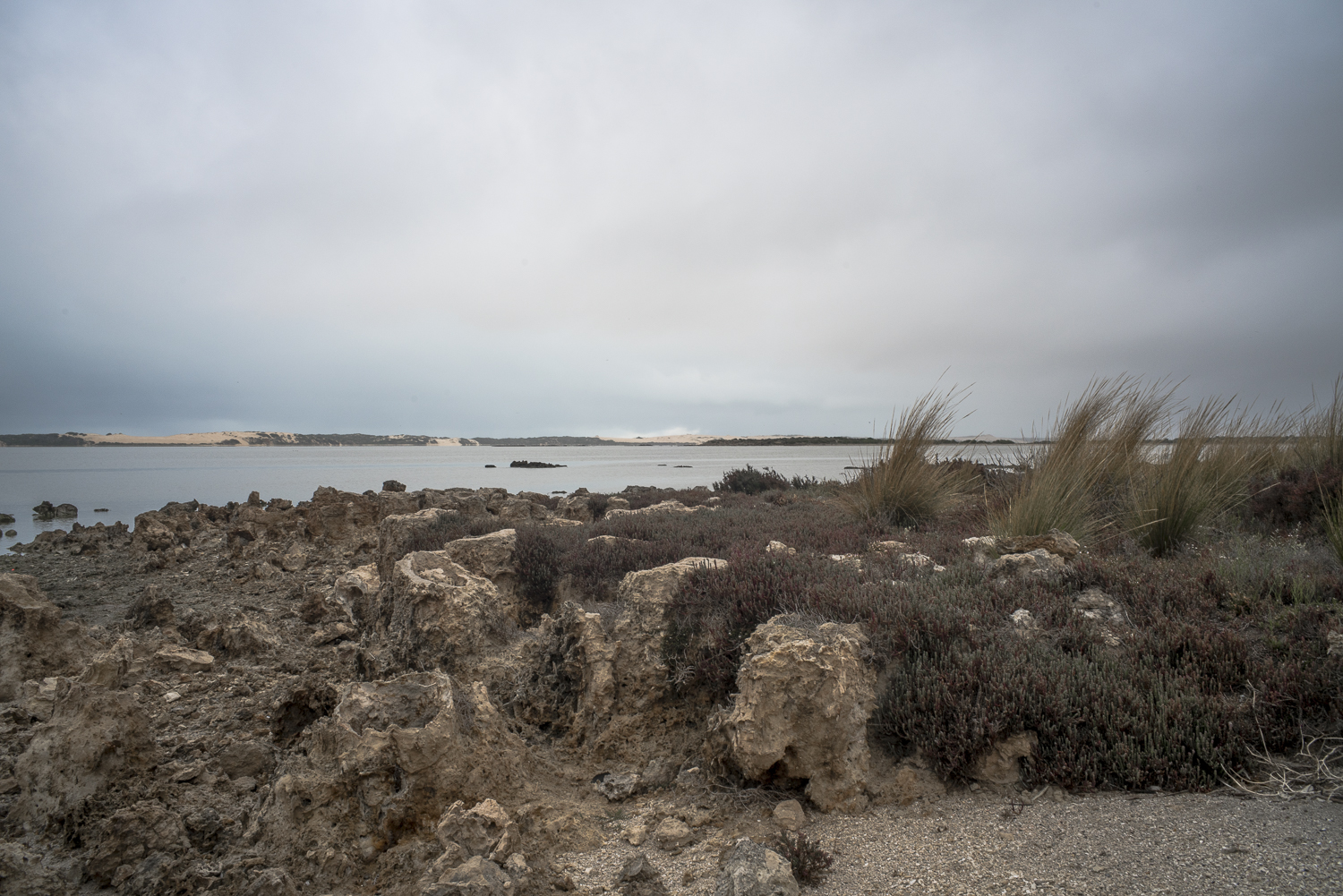 SACoorongSouthLagoon