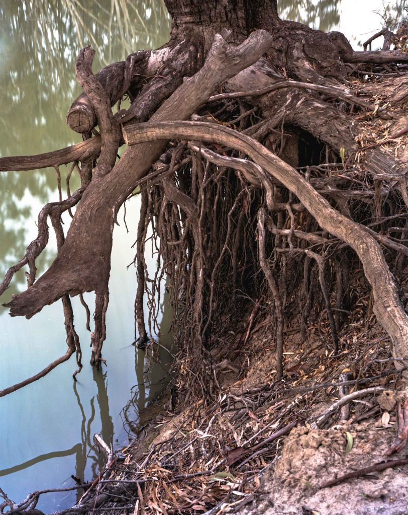 5x4 Linhof Technika IV